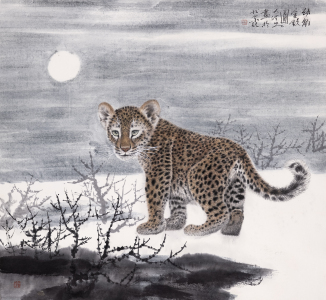 Leopard cub money map