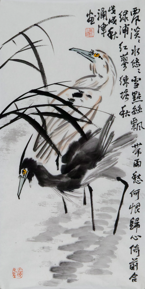 西风淡淡水悠悠